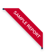 sample report