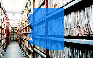 How to Search for Business Entities