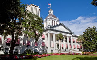 How to Conduct an Florida Business Entity Search