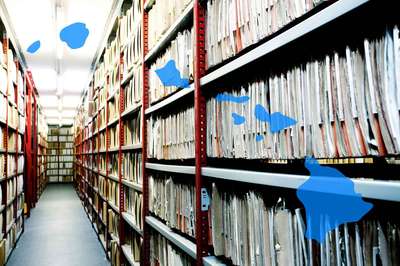 How to Search for Business Entities