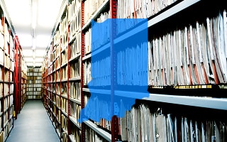 How to Search for Business Entities