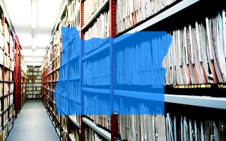 How to Search for Business Entities