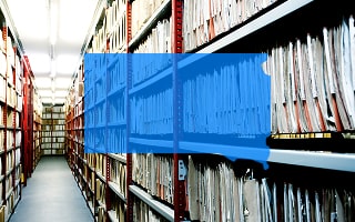 How to Search for Business Entities