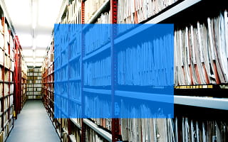 How to Search for Business Entities